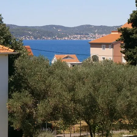 Apartment Maslina Bibinje