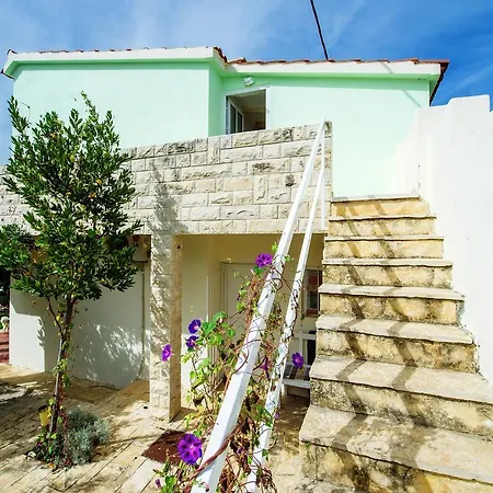 Maslina Bibinje