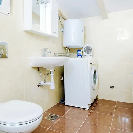 Apartment Maslina Bibinje