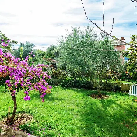 Appartement Maslina *