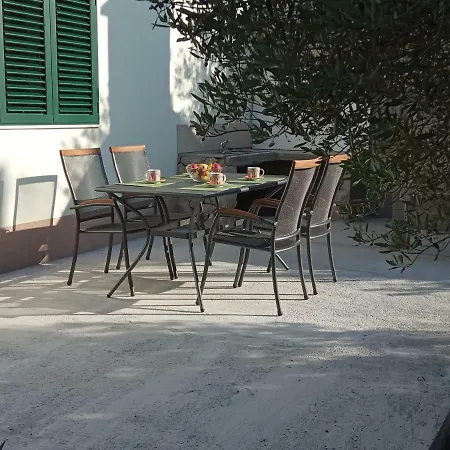 Apartment Maslina Bibinje