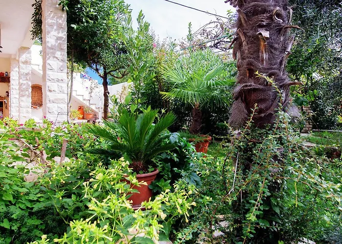 Maslina Apartamento Bibinje