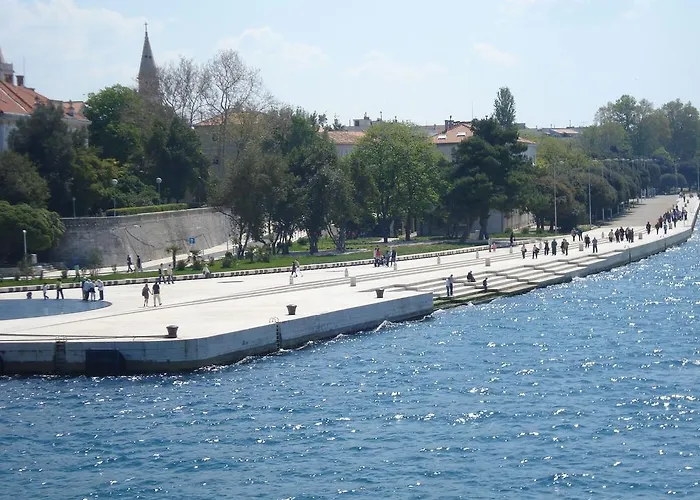 Maslina Bibinje