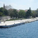 Maslina بيبينيا