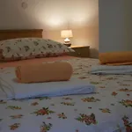 Maslina *