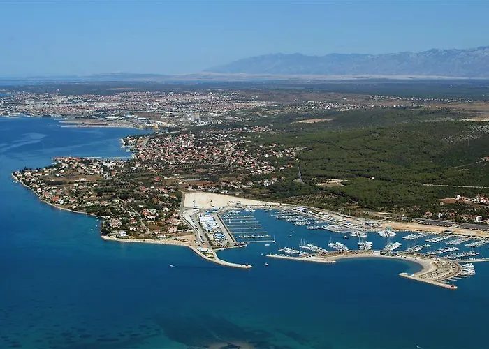 Maslina Bibinje