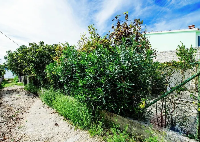 Maslina Apartamento *