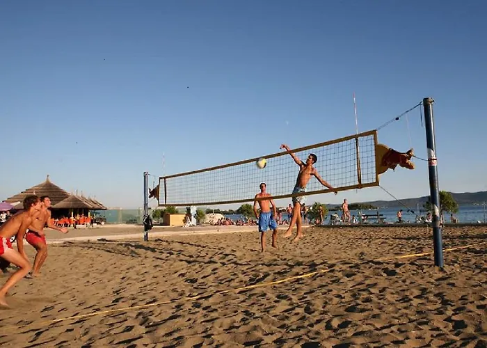 Maslina * Бибинье