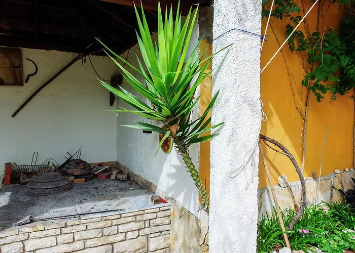Maslina Apartamento